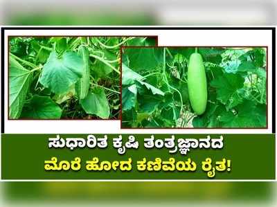 ನೈಸರ್ಗಿಕವಾಗಿ ವಾತಾಯನ ಪಾಲಿ ಗ್ರೀನ್ ಹೌಸ್ ತಂತ್ರಜ್ಷಾನ ಅಳವಡಿಸಿಕೊಂಡ ಗೂಲ್