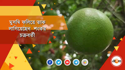 বাড়িতে শরবতি মুসম্বি ফলিয়ে তাক লাগালেন হৃদয়পুরের বাসিন্দা