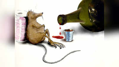 Rat Drunk Wine : டாஸ்மாக் கடைக்குள் புகுந்து பாட்டிலை உடைத்து சரக்கடித்த எலி... எங்கு தெரியுமா?