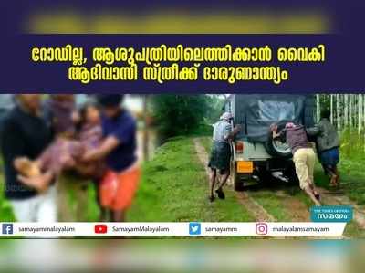 റോഡില്ലാത്തതിനാല്‍ ആശുപത്രിയിലെത്തിക്കാൻ വൈകി; ആദിവാസി സ്ത്രീ മരിച്ചു