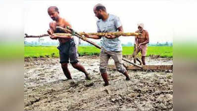 Telangana News: तेलंगाना से महामारी के दौर की दर्दनाक तस्वीर, खुद को बैलों की जगह लगाकर खेत जोतने को मजबूर दो ग्रैजुएट भाई