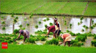 தேனியைக் கருணாநிதி உருவாக்கிய நாள் என பரவியது பொய் செய்தி, உண்மை என்ன தெரியுமா?