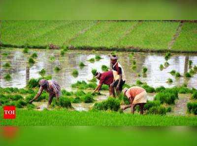 தேனியைக் கருணாநிதி உருவாக்கிய நாள் என பரவியது பொய் செய்தி, உண்மை என்ன தெரியுமா?