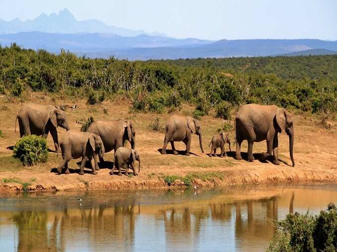 जिम कॉर्बेट नेशनल पार्क, उत्तराखंड - Jim Corbett National Park, Uttrakhand in Hindi