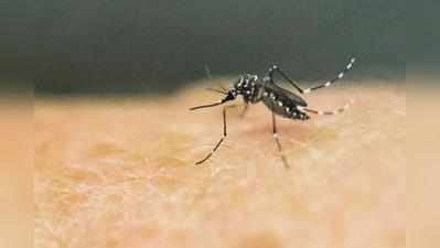 Zika Virus in Kerala: కేరళలో కలకలం.. తొలిసారి జికా వైరస్ కేసు నమోదు
