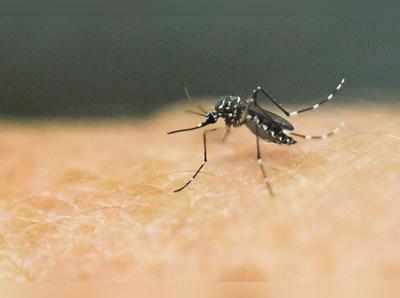 Zika Virus in Kerala: కేరళలో కలకలం.. తొలిసారి జికా వైరస్ కేసు నమోదు