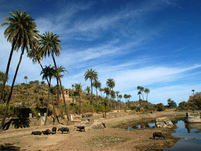 अचलगढ़ किला - Achalgarh Fort, Mount Abu in Hindi