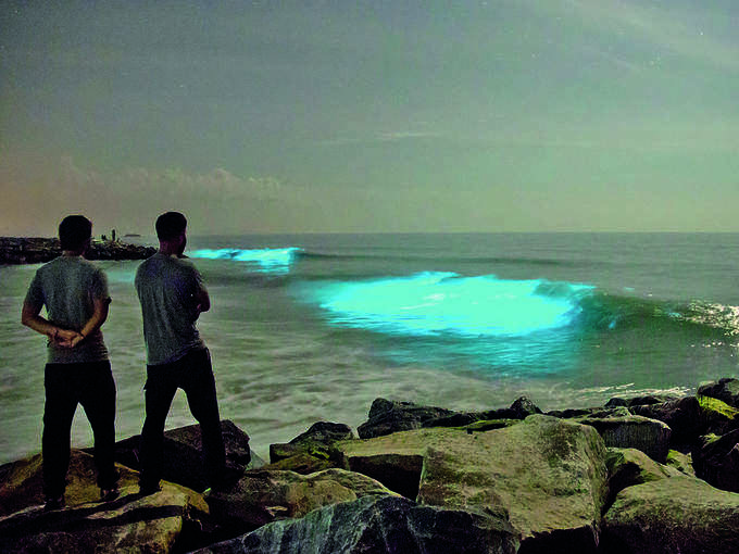 मट्टू बीच, कर्नाटक - Mattu Beach, Karnataka in Hindi