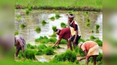 কৃষি পরিকাঠামো উন্নয়নে ভর্তুকি সুদে ১ লাখ কোটি টাকার ঋণ