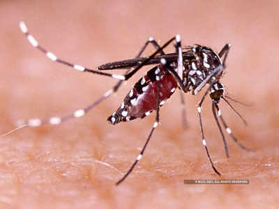 zika virus : झिका व्हायरसचा धोका; केरळमध्ये १४ रुग्ण, केंद्राची तज्ज्ञांची टीम रवाना