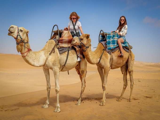 जयपुर में ऊंट की सवारी - Camel Rides in Jaipur in Hindi