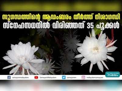 സുഗന്ധത്തിന്‍റെ ആഡംബരം തീർത്ത് നിശാഗന്ധി; സ്നേഹസധനിൽ വിരിഞ്ഞത് 35 പൂക്കൾ