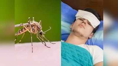Zika Virus : कोविडबरोबरच ‘झिका’चाही धोका वाढणार? जाणून घ्या या आजाराची गंभीर लक्षणं
