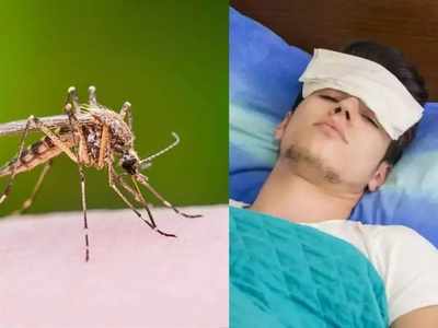 Zika Virus : कोविडबरोबरच ‘झिका’चाही धोका वाढणार? जाणून घ्या या आजाराची गंभीर लक्षणं