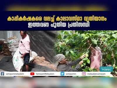 കാപ്പികര്‍ഷകരെ വലച്ച് കാലാവസ്ഥാവ്യതിയാനം,  ഇത്തവണ പുതിയ പ്രതിസന്ധി 