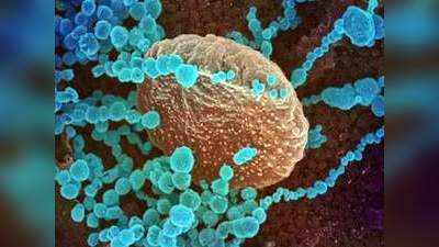 Coronavirus: डेल्टा विषाणू अधिक संसर्गजन्य; १३ वेळा स्वरूपात बदल