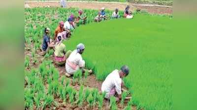 தேனி விவசாயிகளுக்கு நற்செய்தி: வேளாண் பொறியியல் துறை அறிவிப்பு!