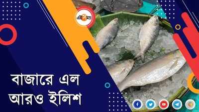 বাজারে এল আরও ইলিশ