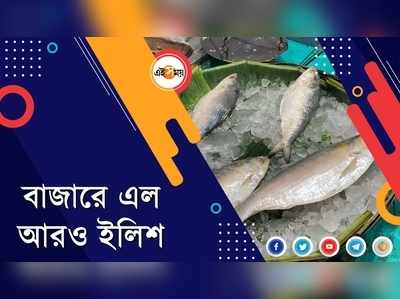 বাজারে এল আরও ইলিশ