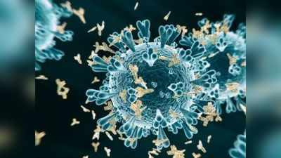 Coronavirus: तीसरी लहर में कहर बरपा सकते हैं ये नए वेरिएंट, जानें एक-दूसरे से कैसे अलग हैं डेल्टा, Delta Plus, लैम्ब्डा और कप्पा