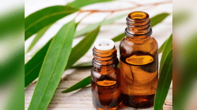 Skin Care Eucalyptus Oil: शानदार सुबह के लिए सबसे आसान तरीका है यूकेलिप्टिस का तेल, ऐसे करें उपयोग