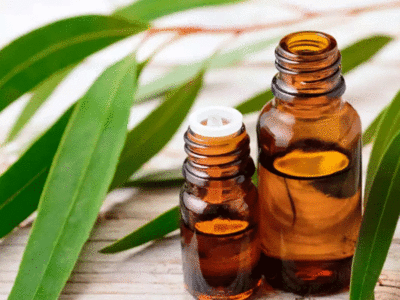 Skin Care Eucalyptus Oil: शानदार सुबह के लिए सबसे आसान तरीका है यूकेलिप्टिस का तेल, ऐसे करें उपयोग