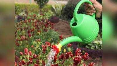इन वॉटर कैन से अपने घर के गार्डन को रखें हरा-भरा