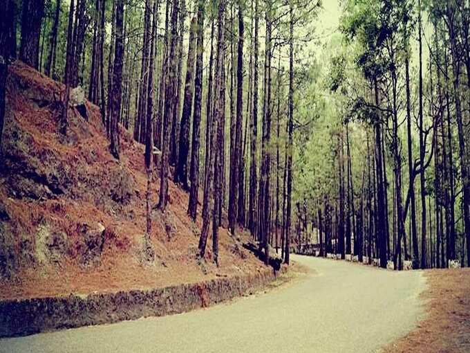 शिमला का चुड़ैल बौडी - Chudail Baudi in Shimla in Hindi