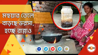 মহুয়ার তেলে বাড়ছে ভরসা, হচ্ছে রান্নাও