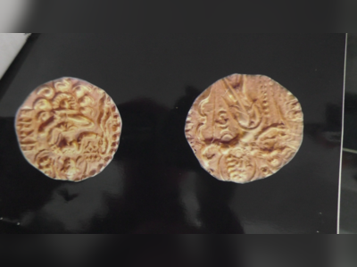 भरतपुर : shocking!राजकीय संग्रहालय से 5 वीं सदी का गुप्तकालीन बेशकीमती सिक्का चोरी