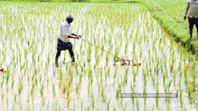 FPO: गुजरात के किसानों की इस तरह मदद करने की योजना बना रही है इफको किसान