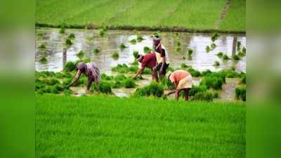 வேளாண் கடன் தள்ளுபடி; விவசாயிகளுக்கு அரசின் ஆறுதல் அறிவிப்பு!