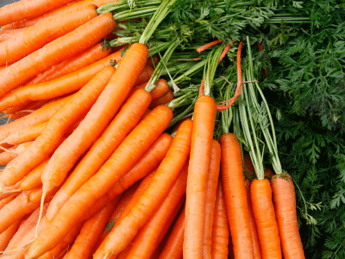 गाजर के बीजों की खूबी