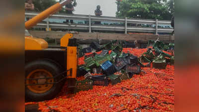 मुंबई- नाशिक महामार्गावर टोमॅटोचा ट्रक उलटला; २० टन टोमॅटोचे नुकसान