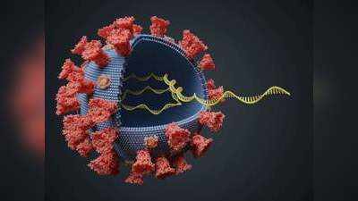 கோவிட்-19 கப்பா திரிபு : உ.பியில் கண்டறியப்பட்ட புதிய வகை கொரோனா தொற்று திரிபு
