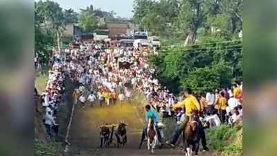 बंदी असतानाही पारनेरमध्ये बैलगाडा शर्यत, माहिती मिळताच तहसीलदार आले, पण...