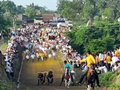 बंदी असतानाही पारनेरमध्ये बैलगाडा शर्यत, माहिती मिळताच तहसीलदार आले, पण...