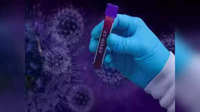 coronavirus in mumbai updates करोना: मुंबईत आज ४४६ नव्या रुग्णांचे निदान; पाहा, मुंबई-ठाण्याची ताजी स्थिती!