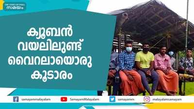 ക്യൂബന്‍ വയലിലുണ്ട് വൈറലായൊരു കൂടാരം