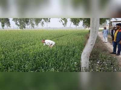 UP News: सरकारी क्रय केन्द्रों के चक्कर लगाने को मजबूर गेहूं बेचने वाले किसान, एक महीने बाद भी नहीं हो रहा भुगतान