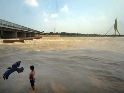 Delhi Water Crisis: दिल्ली जल बोर्ड ने किया रिकॉर्ड 955 एमजीडी पानी का उत्पादन
