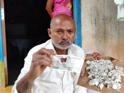 ശസ്ത്രക്രിയക്കായി സ്വരുക്കൂട്ടിയ ലക്ഷങ്ങൾ എലി നശിപ്പിച്ചു; പച്ചക്കറി വിറ്റ് ജീവിതം നയിച്ച വയോധികൻ പ്രതിസന്ധിയിൽ