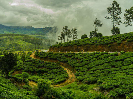 Places To Visit In Ooty In 2 Days,2 दिन के ऊटी ट्रिप में कहां से करें  शुरुआत और किस जगह पर करें खत्म, यहां है घूमने की सारी प्लानिंग - ooty places
