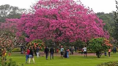 ತುಂತುರು ಮಳೆ, ಹಿತಕರ ವಾತಾವರಣ: ಬೆಂಗಳೂರಿನ ಪಾರ್ಕ್‌ಗಳಿಗೆ ಜನರ ದಾಂಗುಡಿ..!