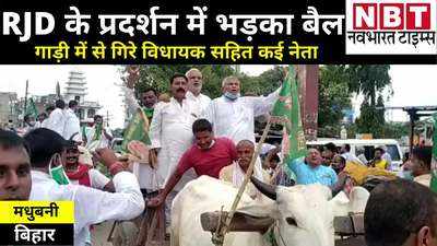 Bihar News: राजद के प्रदर्शन में भड़का बैल, गाड़ी से गिरे विधायक सहित कई नेता... Video देखिए