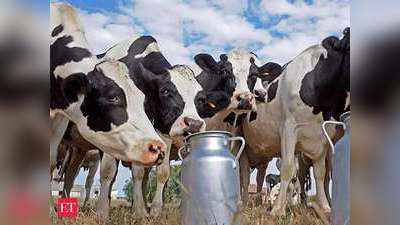 Dairy Farming: डेयरी फार्मिंग को बढ़ावा देने के लिए सरकार ने उठाया अहम कदम, लाखों की कमाई वाला है ये बिजनस!