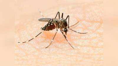 कोरोना काल में साफ-सफाई का नतीजा, आगरा में इस साल नहीं आए एक भी डेंगू-चिकनगुनिया के केस
