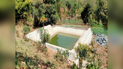 Jharkhand News : बारिश का पानी बदल रहा झारखंड के गांवों की किस्मत, नीलांबर-पीतांबर योजना ने पत्थरों पर भी खिलाए फूल