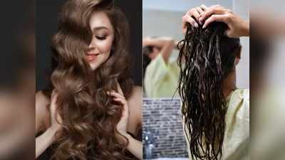 Curd Hair Care : अशाप्रकारे लावा केसांना दही, लांबसडक, घनदाट केसांबरोबरच केस गळतीपासून मिळेल कायमची सुटका