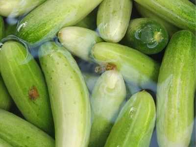 Cucumber: इस समय अगर गलती से भी खा लिया खीरा तो हो जाएगी बड़ी दिक्‍कत, इन लोगों को हो सकता है साइड इफेक्‍ट